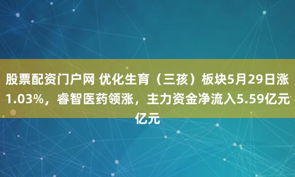 股票配资门户网 优化生育（三孩）板块5月29日涨1.03%，睿智医药领涨，主力资金净流入5.59亿元