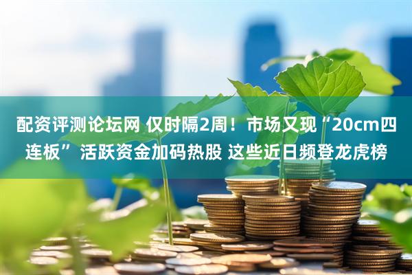 配资评测论坛网 仅时隔2周！市场又现“20cm四连板” 活跃资金加码热股 这些近日频登龙虎榜