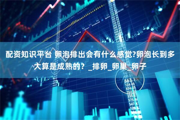 配资知识平台 卵泡排出会有什么感觉?卵泡长到多大算是成熟的？_排卵_卵巢_卵子